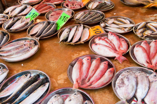 魚(yú)市場(chǎng)上的新鮮魚(yú)