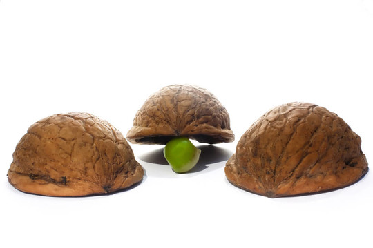 三個(gè)貝殼和一顆豌豆