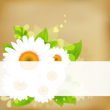 背景與camomiles