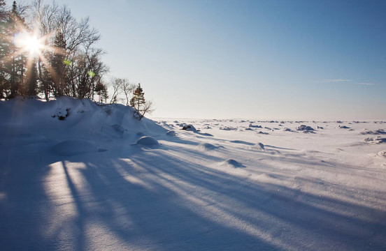 冬季景觀與雪