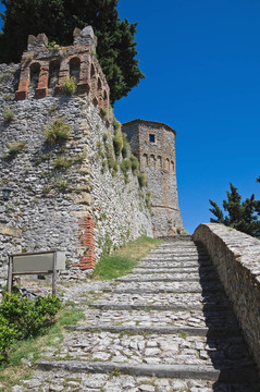 蒙特貝羅城堡。Emilia Romagna。意大利.