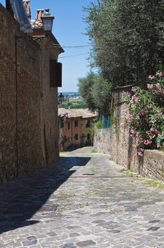 小巷。Santarcangelo涅。Emilia Romagna。意大利.