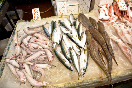 亞洲魚(yú)類(lèi)市場(chǎng)提供全淡水魚(yú)