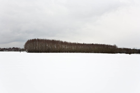 冬天的樹(shù)木覆蓋著白雪覆蓋的田野