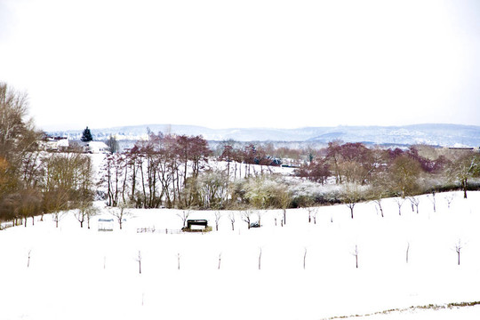 與樹(shù)木在冬天的雪壩