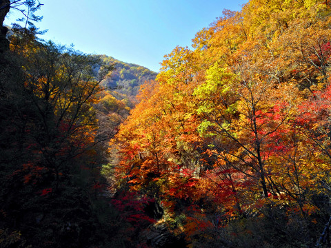 大石湖風(fēng)景
