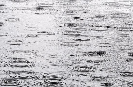 雨