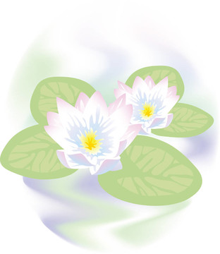 荷花在水里。