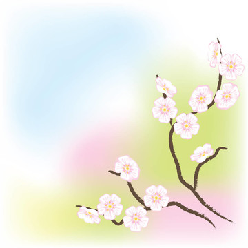 光背景與老蘋果樹開花枝。