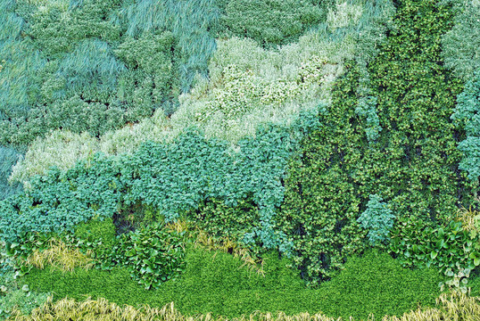 植物設(shè)計(jì)背景
