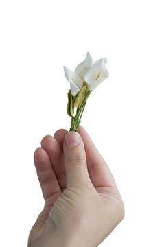 手給小花束