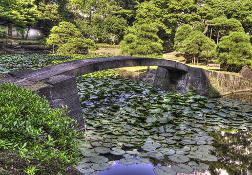 橋