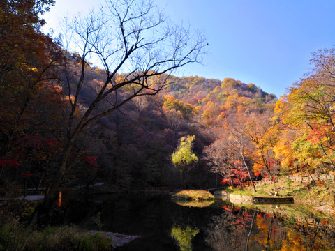 大石湖風(fēng)景