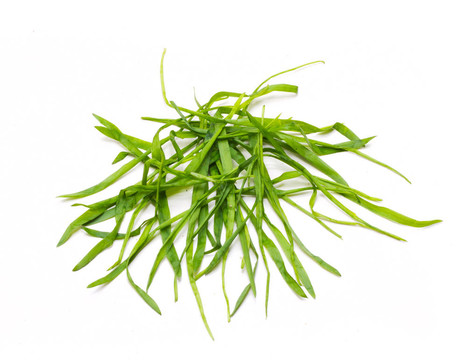 一堆草6