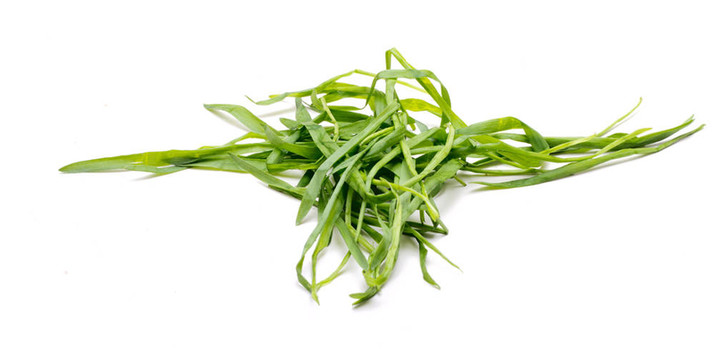 一堆草5