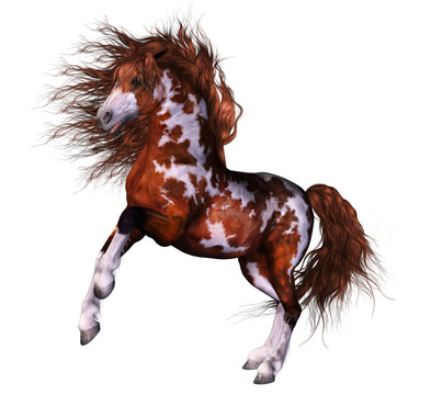 一匹好馬