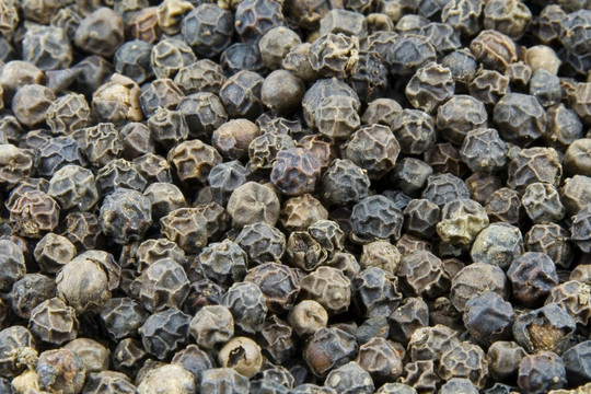 許多背景的苦味鐘