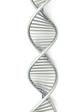DNA鏈