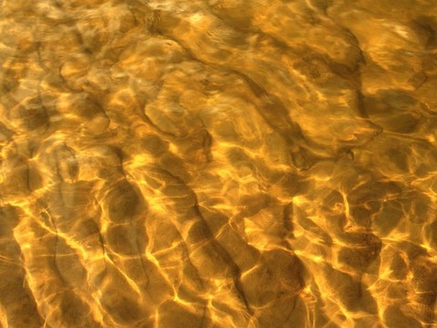 黃金水