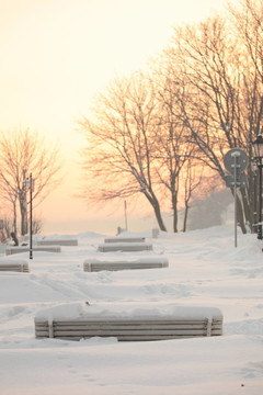 公園長凳冬天的雪