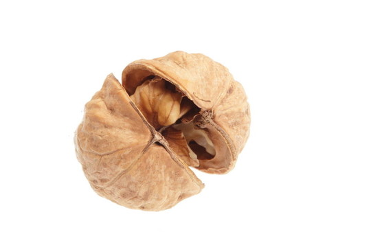 白色背景上分離的核桃仁