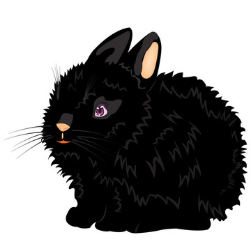 漂亮的黑兔子的插圖