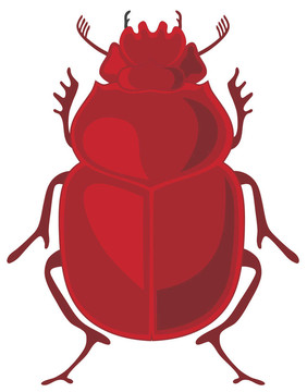 圣甲蟲(chóng)