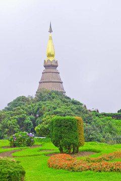霧天花園