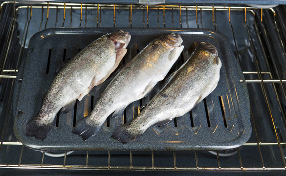 魚箱結(jié)合