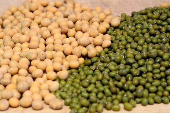 混合大豆