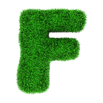 草字母F
