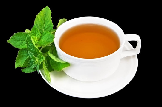 在白杯上薄荷的涼茶