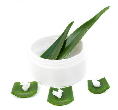 蘆薈葉和奶油