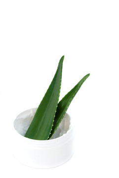 蘆薈葉和奶油