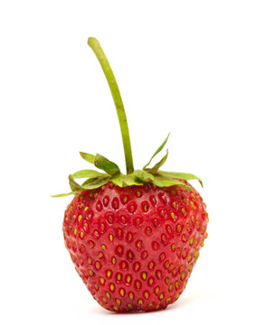 白草莓