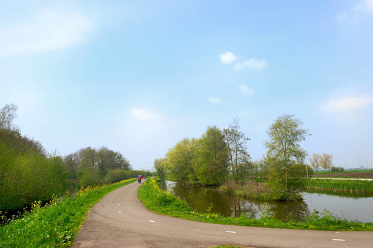 荷蘭景觀與道路