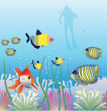 熱帶魚(yú)類(lèi)和潛水員