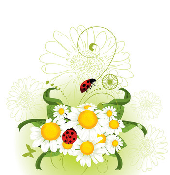 Chamomil Floral的設(shè)計(jì)