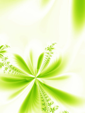 摘要花