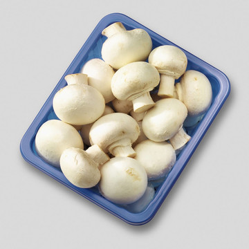 食用蘑菇