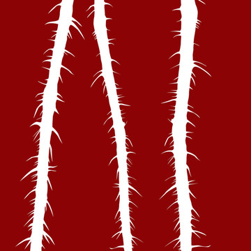 插圖梗野玫瑰