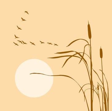 在蘆葦畫群鵝