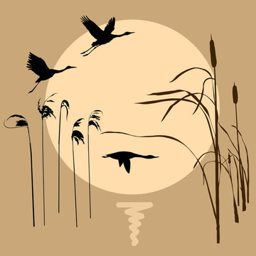 在背景上畫(huà)飛的鳥(niǎo)
