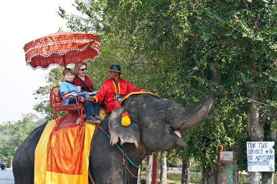 在Ajutthaja骑大象的游客