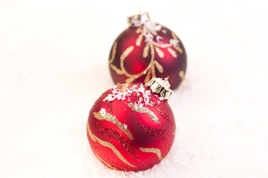 兩圣誕紅的小玩意在雪