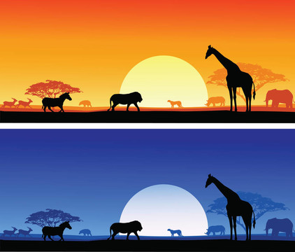 Safari的背景