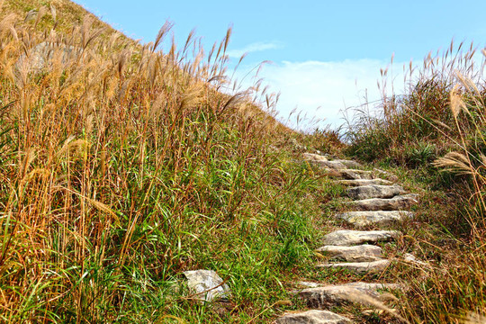 徒步旅行的山路