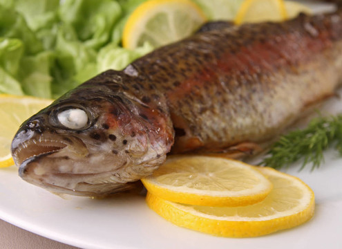 烤鱒魚生菜