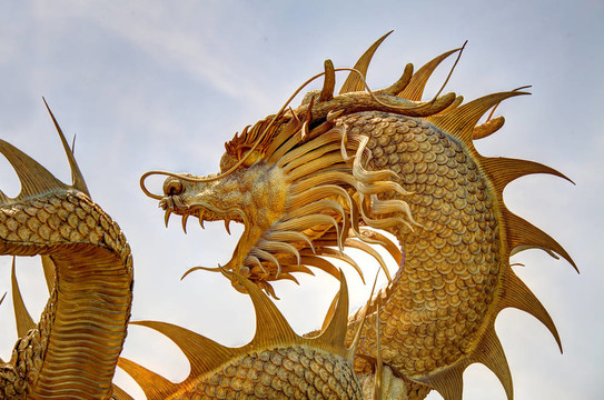 巨金中國龍