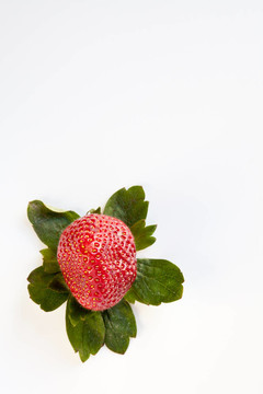 Strawberry从上面带绿叶